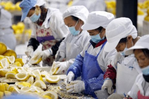 智能化梁平柚子果酱生产线上线 每天可生产3.6万罐