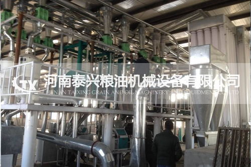 九江玉米面厂生产成套机组设备厂家口碑怎么样