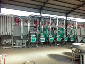 商丘面粉设备新出厂价格 粮食机械 大型面粉设备